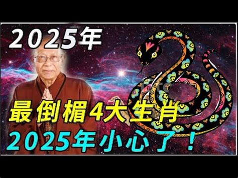 2025 什麼年